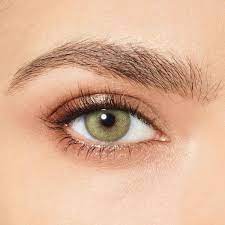 [8057003003745] DESIO ATTITUDE ONE DAY WILD GREEN 0,00 B/2