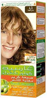 صبغة غارنيه رقم 6.3