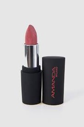 [6221113506188] AMANDA Moist Matte Lipstick no 22