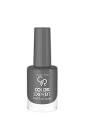 [8691190837204] G.R Color Expert Nail Lacquer No: 120