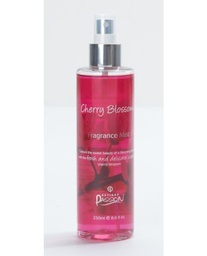 [6294015168402] Estiara LET,S CHEERS RED new